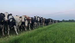 Feed and fertiliser savings after a bumper year for grass